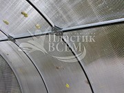 Самые крепкие теплицы из оцинкованного профиля МЕЧТА Самые крепкие теплицы из оцинкованного профиля МЕЧТА